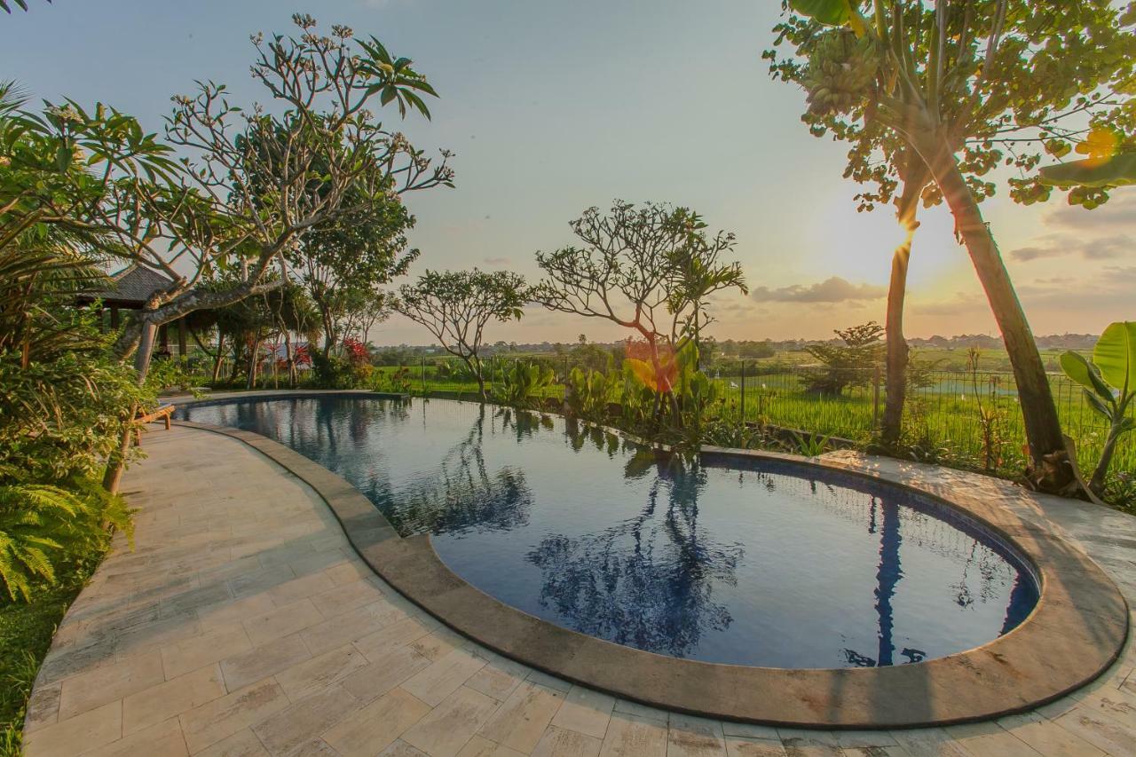 Villa D'Carik Bali 덴파사르 외부 사진